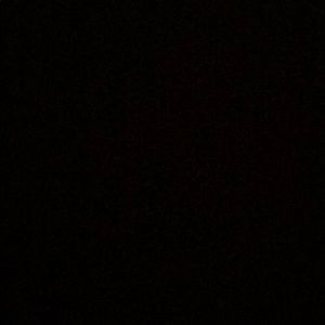 Meet your Posher, Azalea